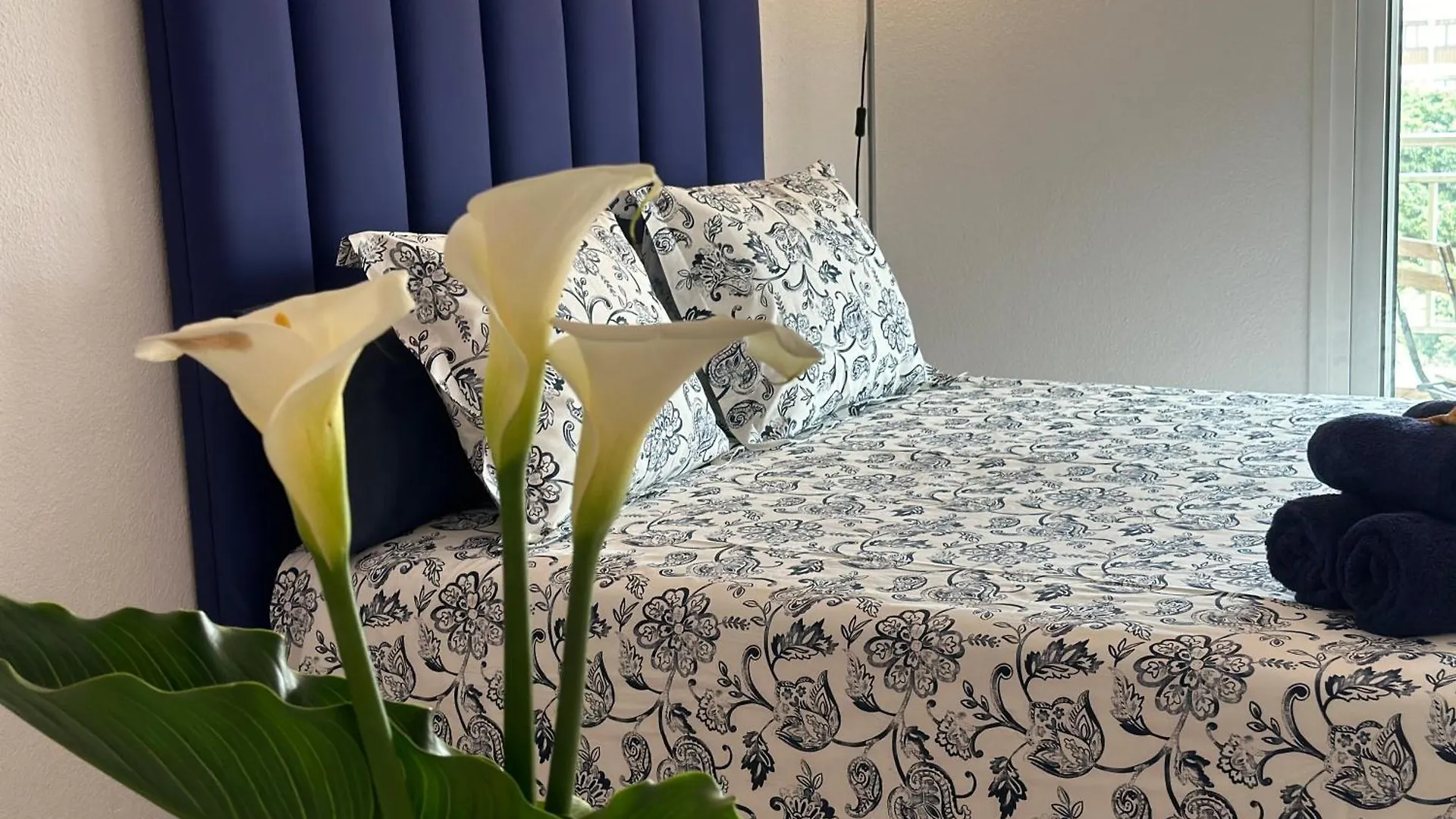 Coco Home Apartamento Con Vistas contacts